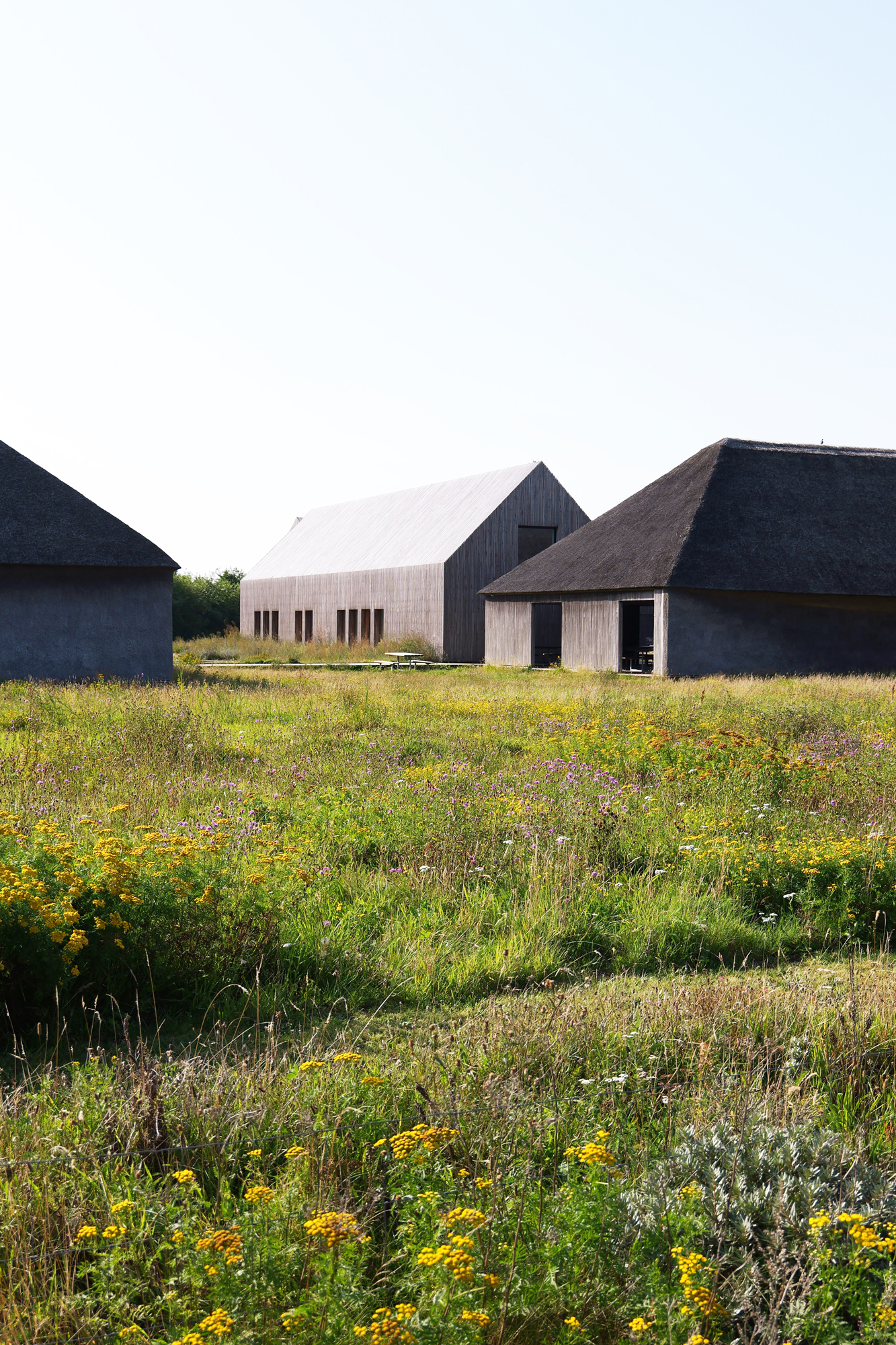 Wattenmeerzentrum (Dorte Mandrup) [DK. Ribe] ; 2017